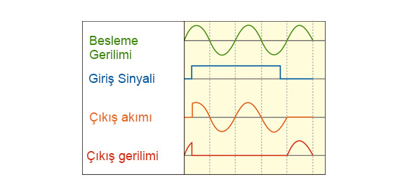 Rastgele Geçişli