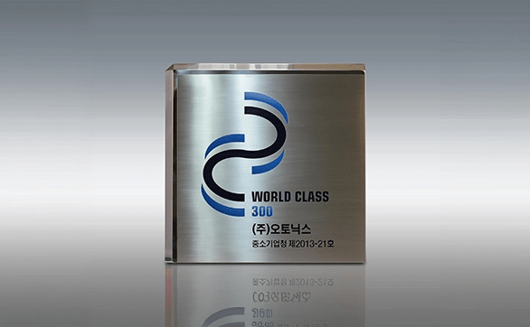 2013 World Class 300 기업